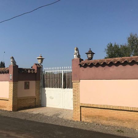 Villa Pilonga Dos Hermanas Eksteriør billede